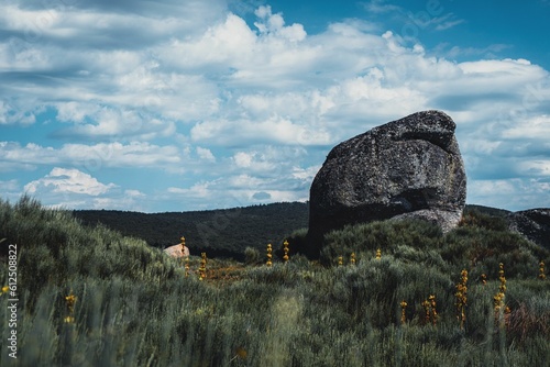 Huge rock in the mountanious area covered in greenery photo