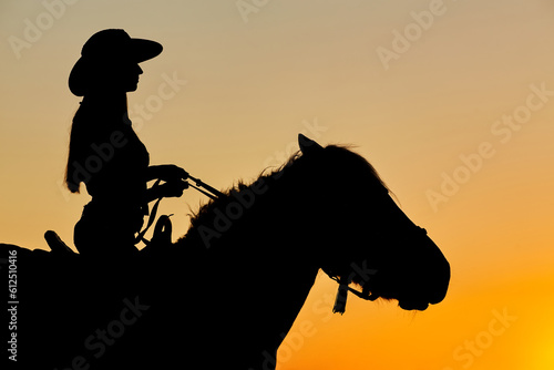 Silhouette of Cowboy, ride on Arabian horse stallion in colorful sunset.