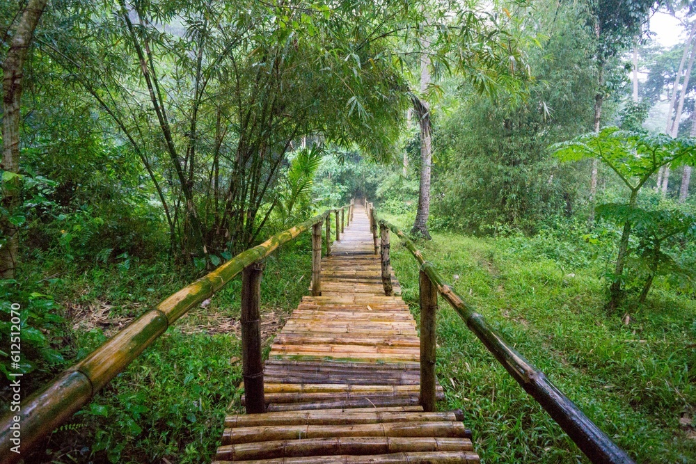 Narrow wooden path with railings in a lush forest in the Philipines Narrow wooden path with railings in a lush forest in the Philipines