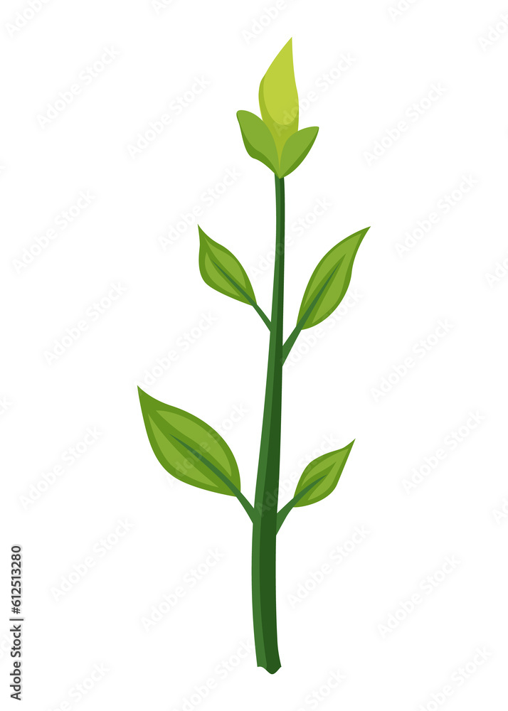 Fototapeta premium Sunflower growth stage, small sprout. Agriculture plant development. Harvest animation progression phase
