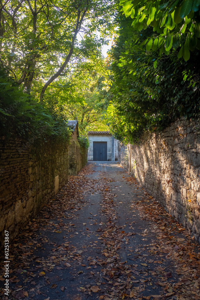 A narrow street partly covered with autumn leaves, Southwest France A narrow street partly covered with autumn leaves, Southwest France