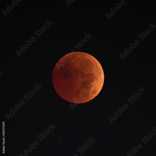 Fototapeta Naklejka Na Ścianę i Meble -  Scenic view of the lunar eclipse in the dark sky at night