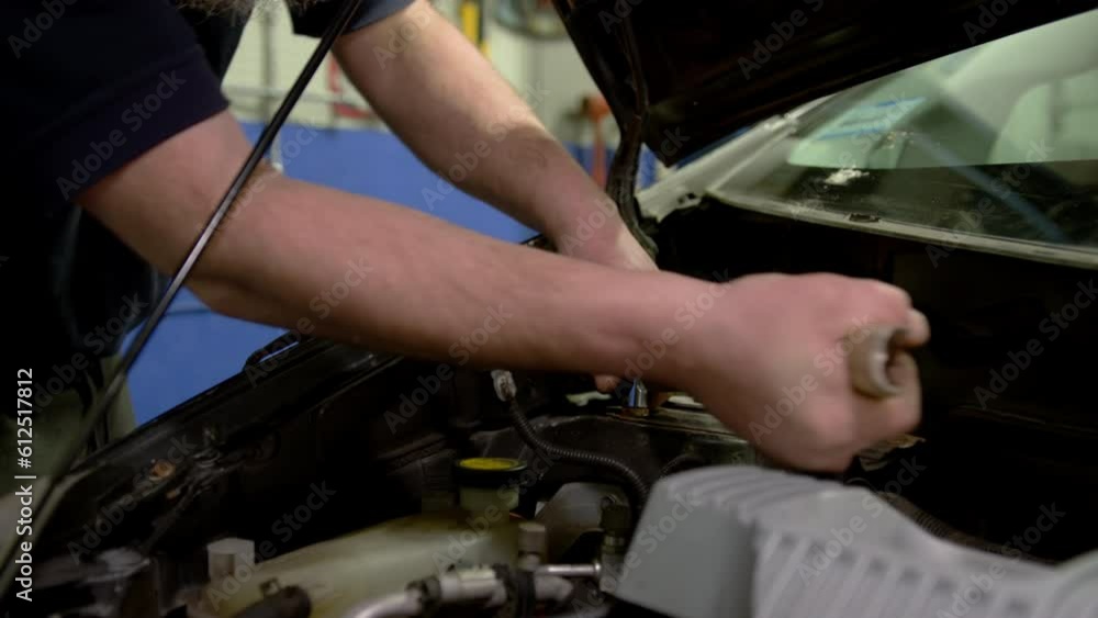 Professional car mechanic auto repair concept Professional car mechanic auto repair concept