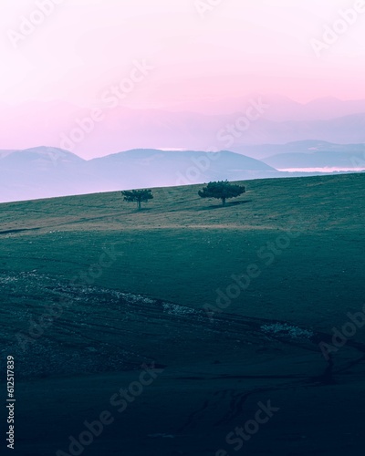 Trees on the Monte Subasio in Italy during sunset