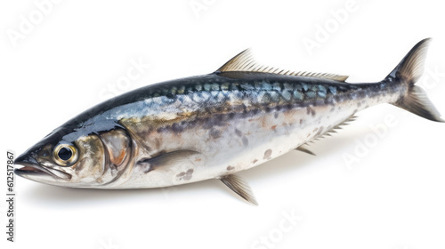 Mackerel or Aji (Japanese horse mackerel /Trachurus japonicus Japanese scad, ) of the Carangidae fish species, isolated on white. Generative AI