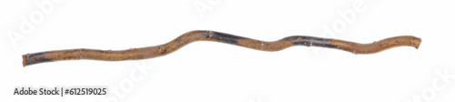 wooden curve stick isolated on white background