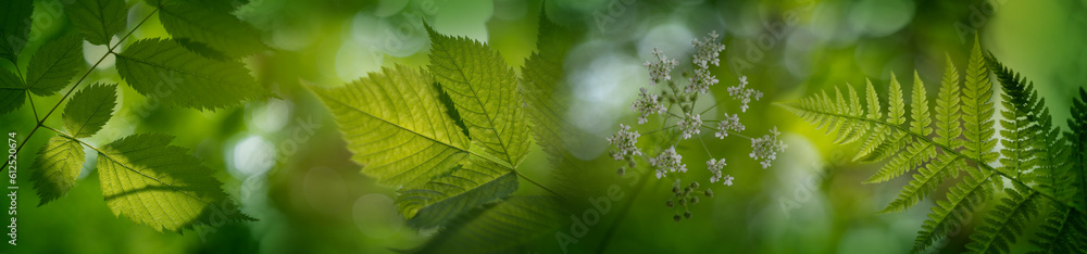 Defocused tree leaves. Natural bokeh, blurry background out of focus Defocused tree leaves. Natural bokeh, blurry background out of focus