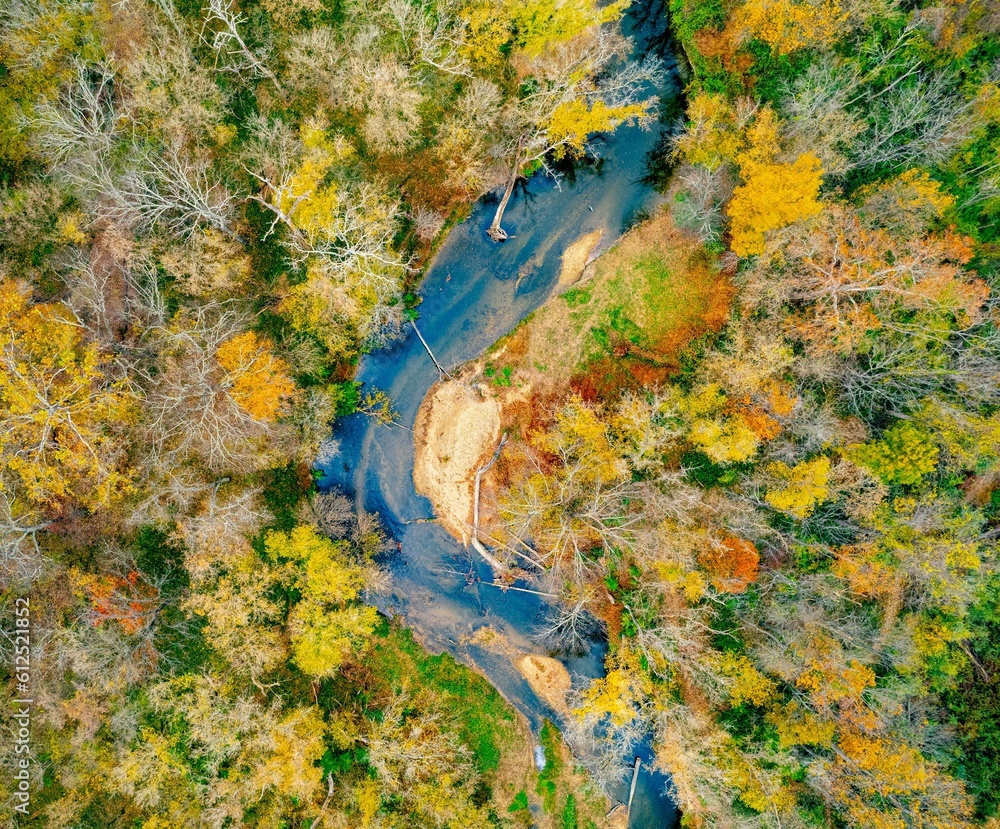 Aerial shot of fall foliage in a forest.