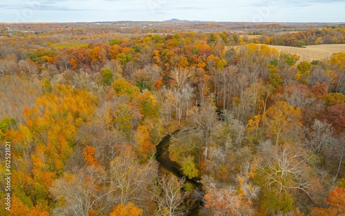 Aerial shot of fall foliage in a forest.