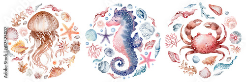 Photography Watercolor illustrations of marine animals octopus, seahorse, crab, starfish, jellyfish