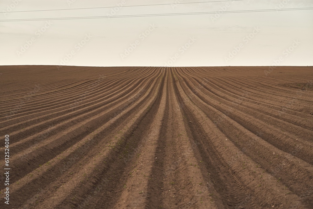 Fototapeta premium The agricultural landscape showcases the vast expanse of the field, which is prepared for farming and cultivation. The soil, rich and fertile, is the foundation for agricultural practices.