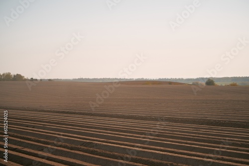 Agricultural land under a beautiful sky at sunrise. Rural areas and countryside in the morning.