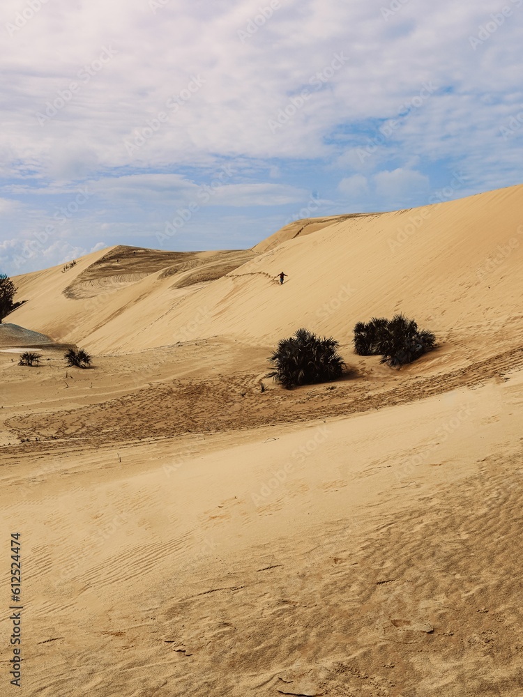Vertical shot of a natural landscape of sand dunes