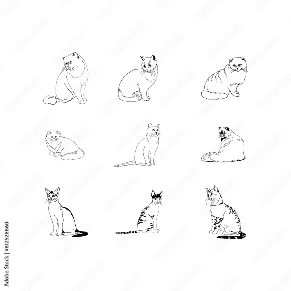 set of animals cats on white background set of animals cats on white background