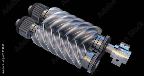 Illustration of male and female screw rotors with bearings and helical gears
