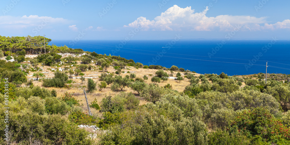 Zakynthos island, coastal summer landscape with olive trees, Greece
