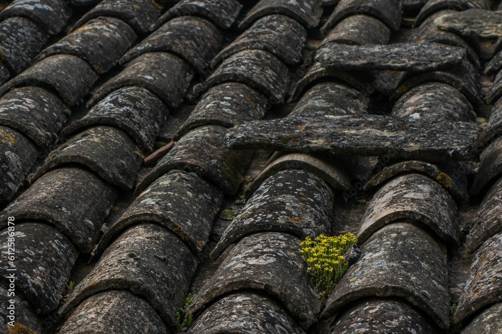 Closeup shot of rustic old dirty tiles on a roof