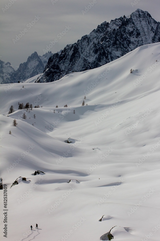 Vertical shot of a snowy mountain Vertical shot of a snowy mountain