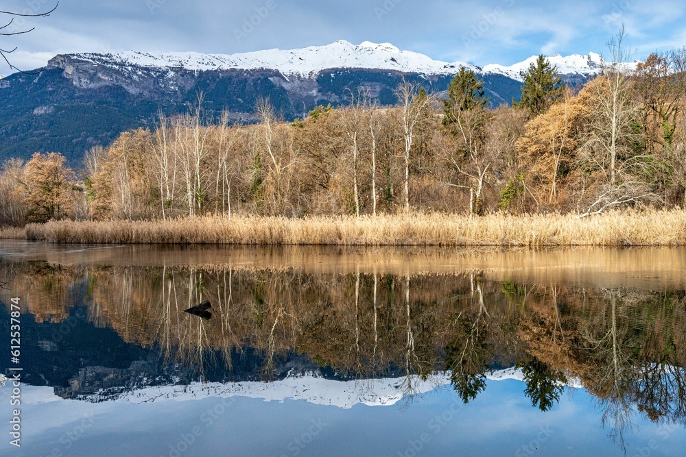 Beautiful landscape of a lake with a forest and snowy mountains reflected in the water