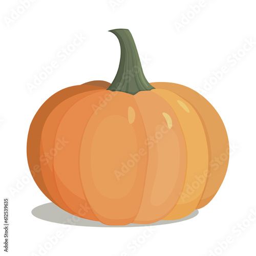 Autumn halloween pumpkin, vegetable graphic icon. Orange pumpkin vector illustration isolated on white background.