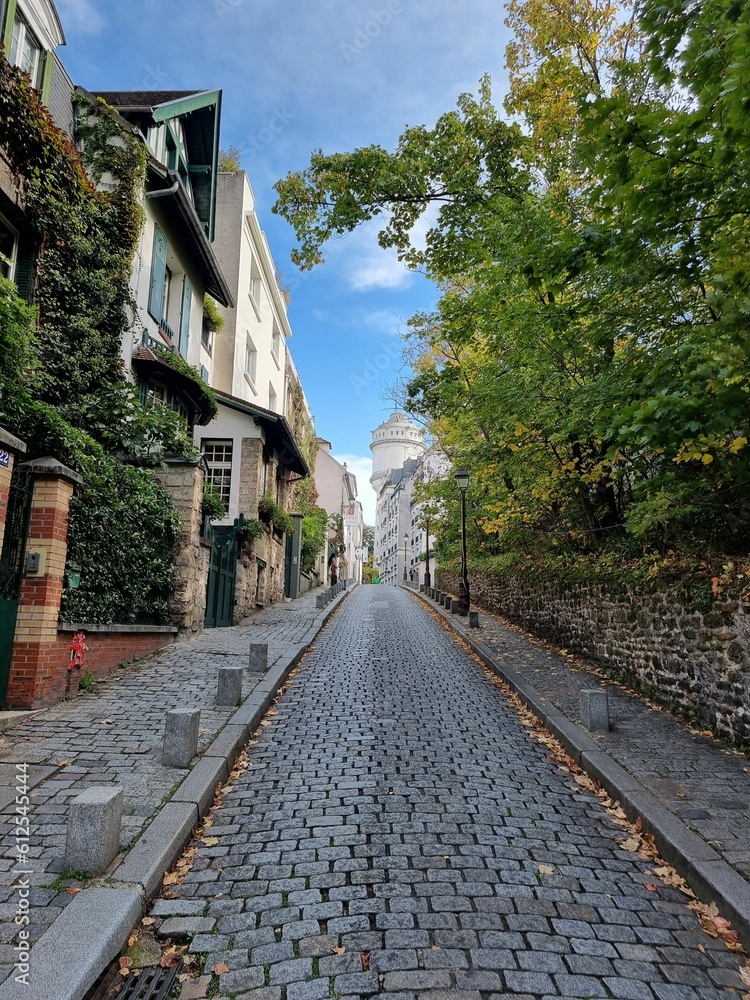 Vertical shot of empty cobblestone street between green plats and buildings in a town