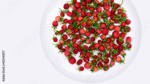 Wild strawberries wth green buds on white pocelain background- photo