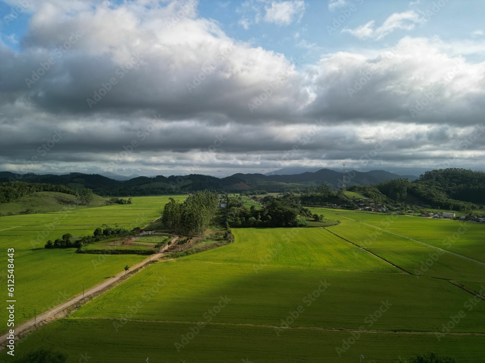Aerial view of green fields farming cultivation in agricultural land at a countryside