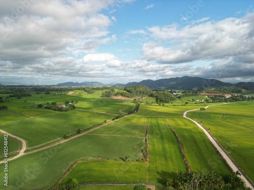 Aerial view of green rice fields farming cultivation in agricultural land at a countryside © Grandrones/Wirestock Creators
