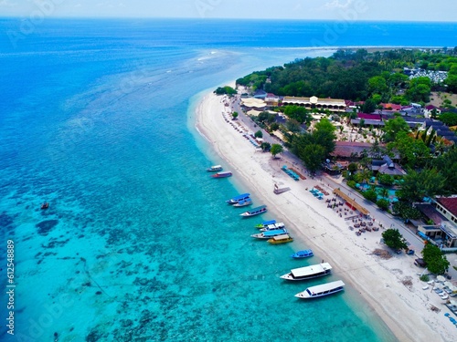 Drone view of a beautiful port against the buildings and trees