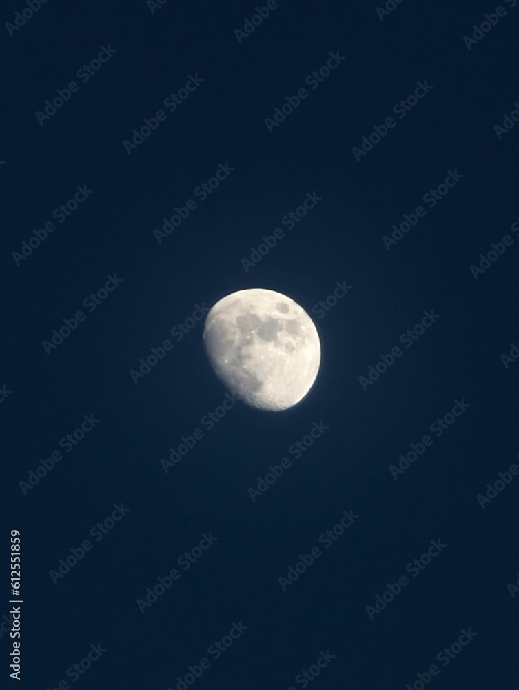 Vertical shot of the 2nd January Moon phase