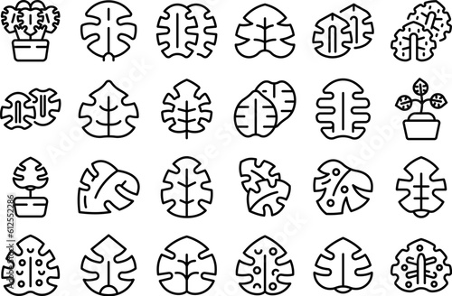 Monstera icons set outline vector. Palm leaf. Exotic tree