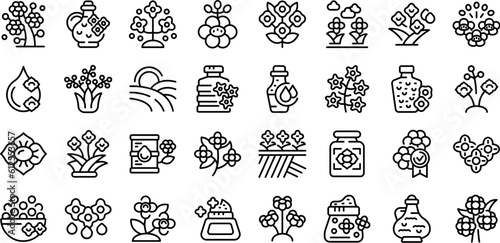 Rapeseed icons set outline vector. Canola flower. Oil food