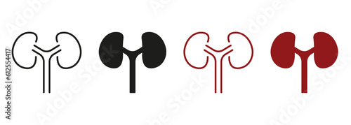 Human Kidney Line and Silhouette Color Icon Set. Anatomy of Renal Organ Pictogram. Kidneys Urology Disease, Dialysis Medical Treatment Symbol Collection. Isolated Vector Illustration