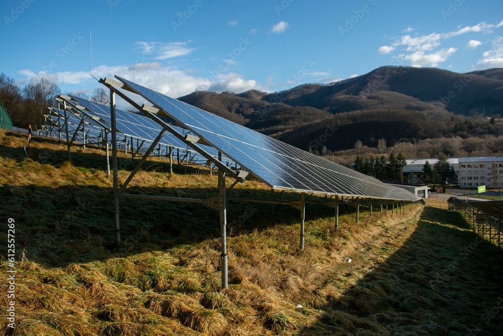 Solar photovoltaic power plant in the field near the forest Solar photovoltaic power plant in the field near the forest