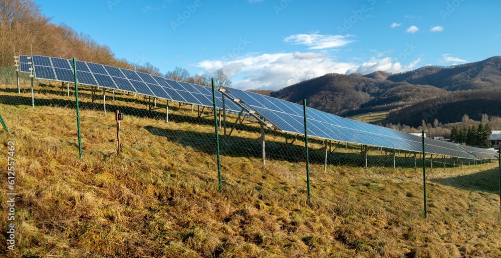A solar photovoltaic power plant on the field. Solar panels on the meadow near the forest