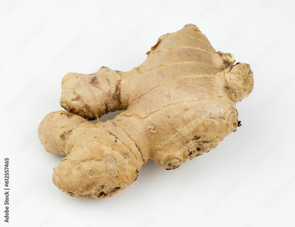 Closeup view of a fresh ginger rhizome on white background.