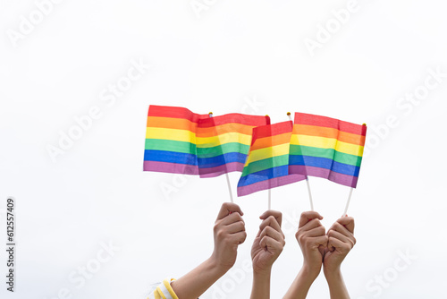 two woman hand holding lgbt flag Supporting for lgbt community on white background © lerm90