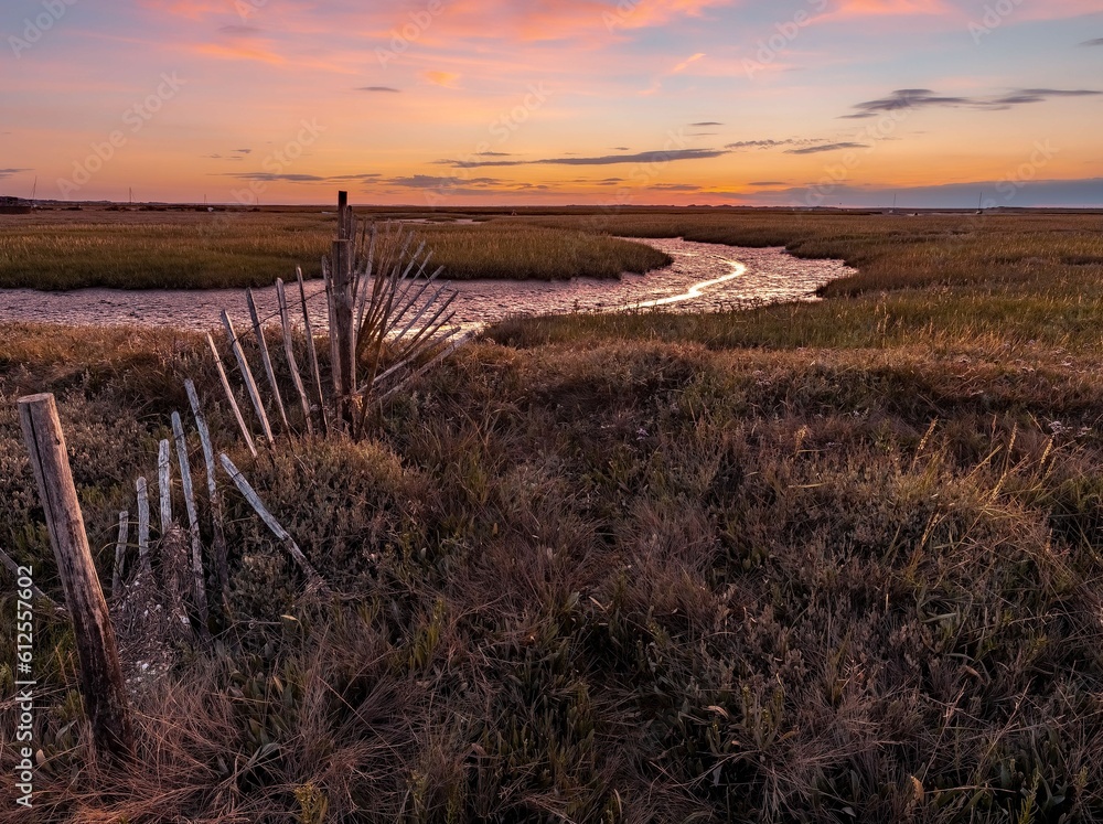 Obraz premium River flowing in the middle of a meadow during a golden hour