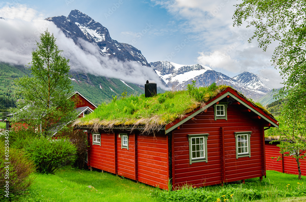 A typical Norwegian falu red wooden cottage with grass and weeds growing out of the roof. Beautiful mountain scenery.