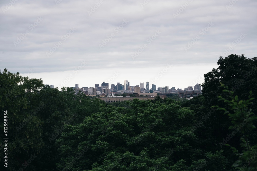 Distant shot of a modern city with high buildings before a green forest