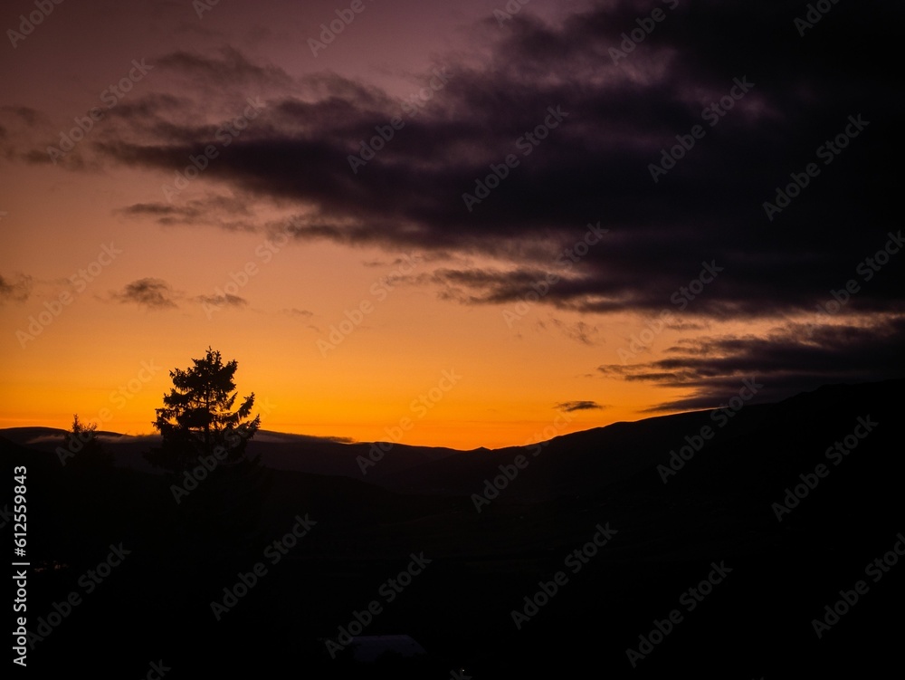 Silhouette of a single tree and hills under the cloudy sky at sunset Silhouette of a single tree and hills under the cloudy sky at sunset