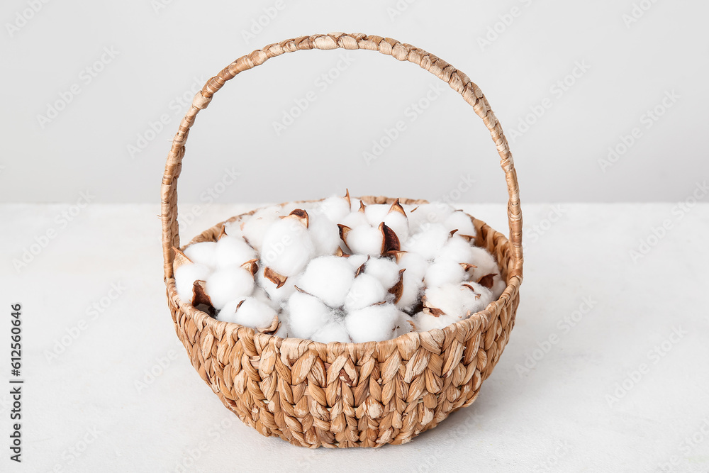 Cotton flowers in basket on white grunge table near wall