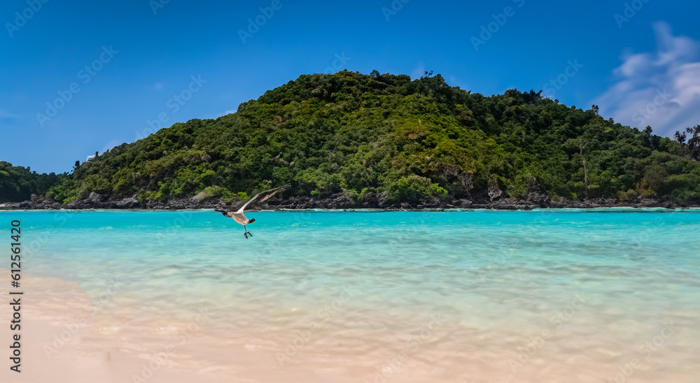Obraz premium beautiful beach with a seagull and an island in the background