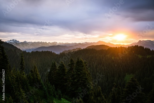 Aerial view of mountain landscape surrounded by dense trees during sunset