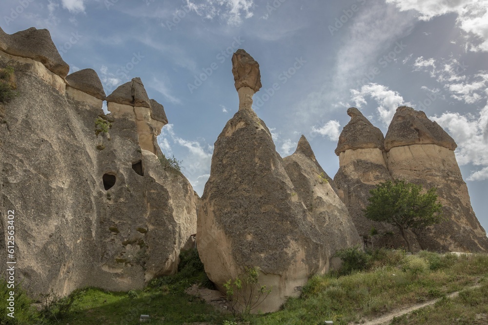 Low-angle shot of a beautiful stone formations in Pasabag Valley in Cappadocia, with a stormy sky
