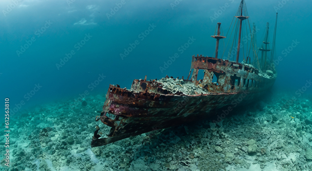 Fototapeta premium amazing rusty ship sunk in the middle of the sea with good day lighting
