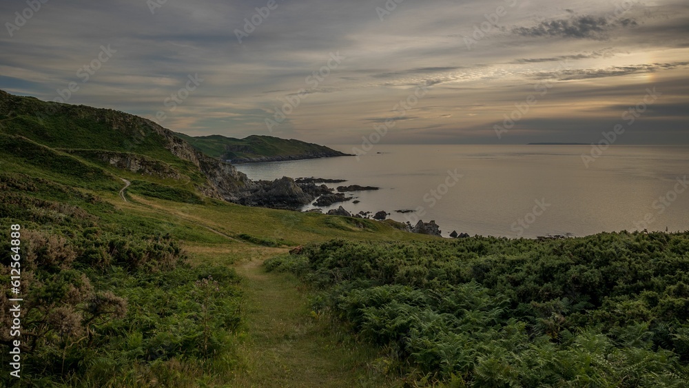 Aerial view of lush green seashore with dense plants under cloudy sunset sky Aerial view of lush green seashore with dense plants under cloudy sunset sky
