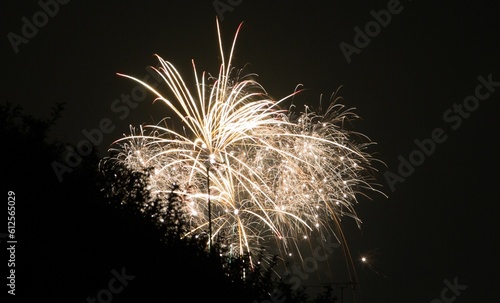 Bright fireworks on the night sky background