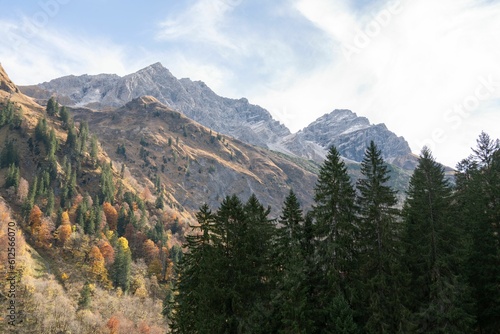 Aerial view of lush green and colorful trees and steep rocky mountains in Oberstdorf, Germany