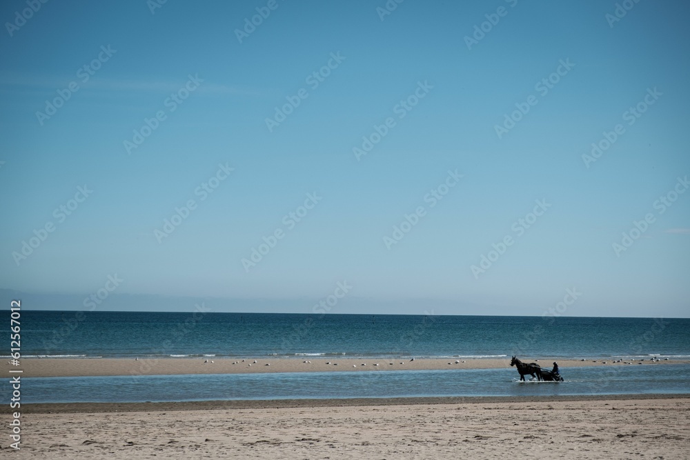 Horse pulling the carriage with a person in the near the sandy beach in Normandy, France